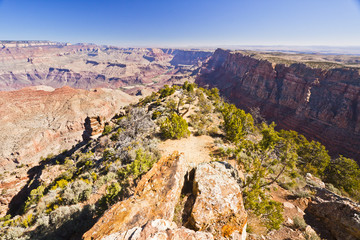 Scenic view overlooking the grand canyon