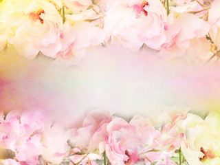 Fototapeta na wymiar pink roses flower border and frame in vintage color for valentine background and wedding card