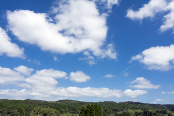 樹林と雲のもこもこしている空