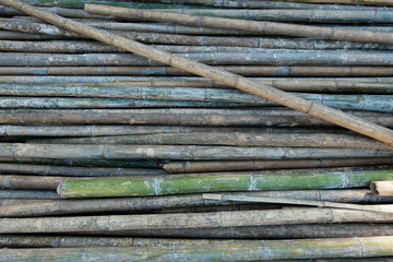 bamboo texture background