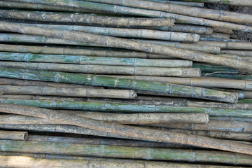 bamboo texture background