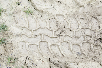 Wheel tracks in the mud