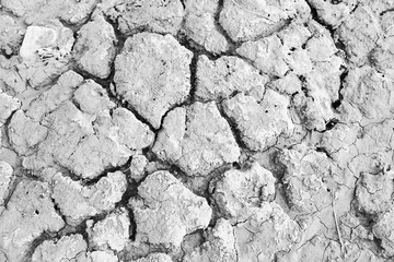 Dry soil by drought