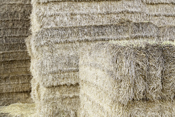 Straw bales
