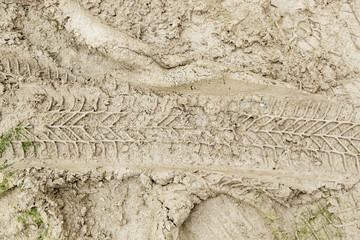Wheel tracks in the mud
