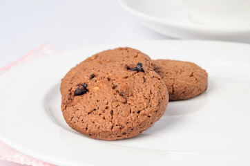 Closeup chocolate cookie on white dish