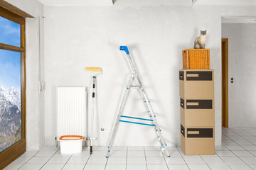renovation of an empty flat with cat  ladder and moving boxes