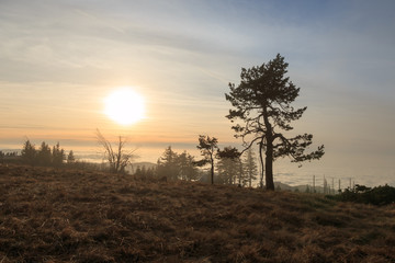 Sonnenuntergang auf der Hornisgrinde