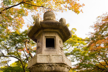 Japanese garden with a lantern.autumn.