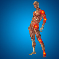 Fototapeta na wymiar 3D human man pain anatomy on blue background