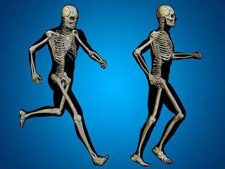 Conceptual man or human 3D anatomy or body on blue