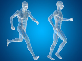 Conceptual man or human 3D wireframe anatomy or body on blue