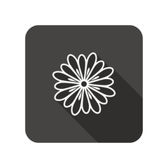Camomile flower icons. Floral symbol.