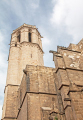 Fototapeta na wymiar Cathédrale Sainte Eulalie, Barcelone, Catalogne, Espagne