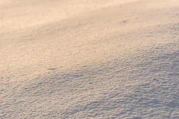 雪原