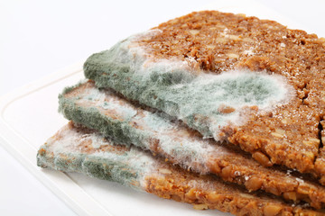 Mouldy brown bread