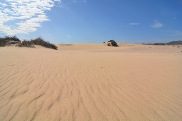 deserto di sabbia a fuerteventura