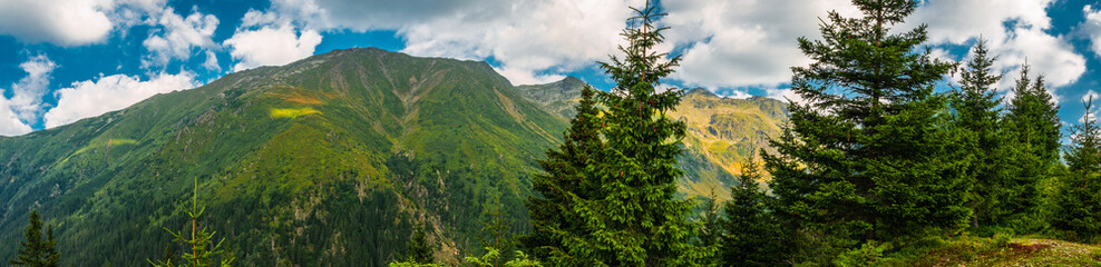 Pine and mountains - A dream view from Negoiu cottage - Fagaras mountains, Sibiu county, Romania, 1550m, 7frame
