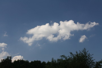 Wolken, wei&szlig;, Himmel, B&auml;ume