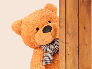 Fluffy plush teddy bear