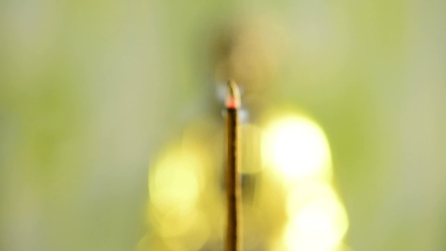 Buddha mit R&auml;ucherst&auml;bchen

