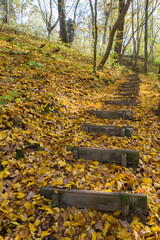 Marches et chemin en for&ecirc;t en automne