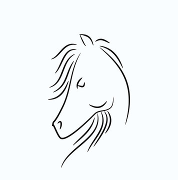 Horse head illustration line