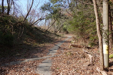 Old mountain road