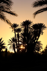 Obraz premium Le Maroc