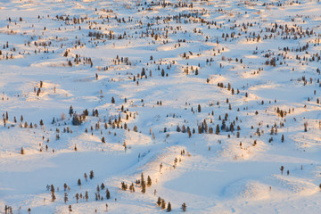 Fototapeta na wymiar Tundra hills during cold winter day, top view