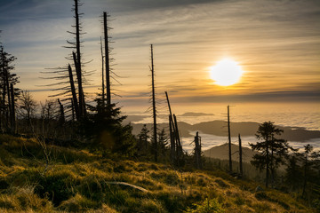 Schwarzwald - Hornisgrinde