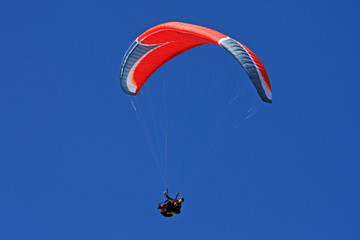 Paraglider