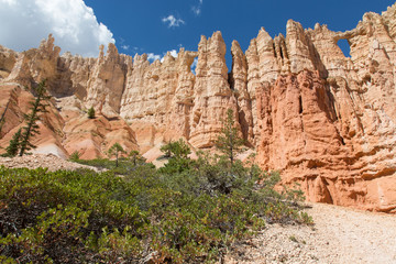 Bryce Canyon, Hoodoos, Felspyramiden, Amphitheater, Rim Trail, Nationalpark, Schlucht, Panorama, Sandstein, Steinsäulen, USA, Utah, Tag, Sommer