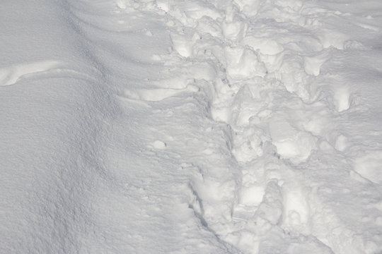 Footprint In Snow