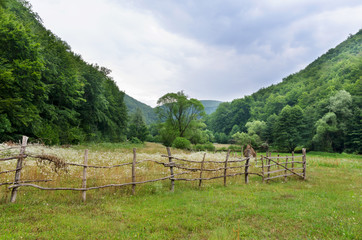 Meadow between hills. green grass, hay stacks and wooden fence near a forest