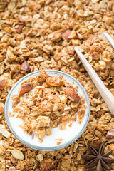 Homemade granola and yogurt