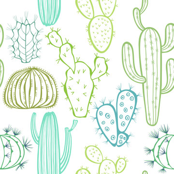 Seamless pattern with cactus. Vector illustration.