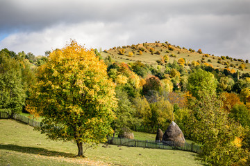 Haystack with a freshly mown meadow as background. Horizontal vi