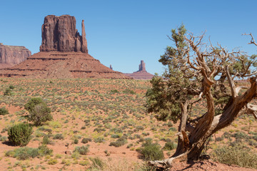 Monument Valley, Nationalpark, Tafelberge, Utah, Arizona, USA, W&uuml;ste, Sommer, Tag, Kalkstein, Sandstein
