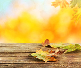 Naklejka na ściany i meble Yellow autumn leaves on wooden table, on nature background