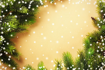 Christmas fir tree branches on paper background