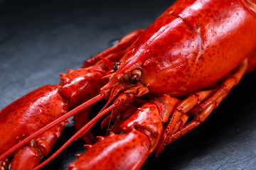 Boiled lobster on stone background