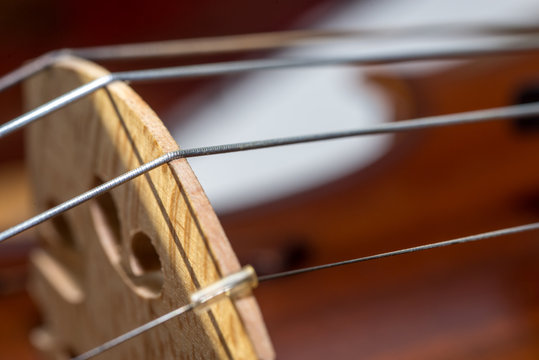 Strings of a Violin