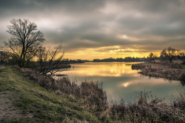 Wild pond on cloudy morning with yellow sunbeams