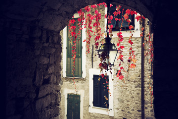 Lampada avvolta dalle edere