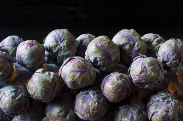 Fototapeta na wymiar Fresh purple brussels sprouts on the stalk against a dark black background. A small, tasty vegetable resembling a miniature cabbage popular as an accompaniment to a roast dinner at Christmas.