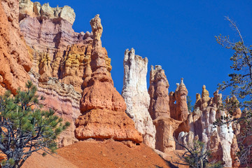 Fototapeta premium Bryce Canyon National Park, Utah, United States