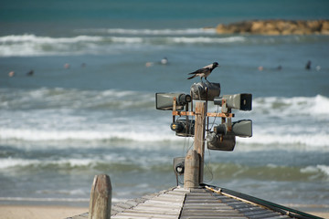Tel Aviv speakers on the beach