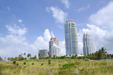 Fototapeta premium MIAMI BEACH