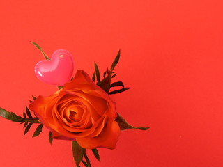 Rote Rose mit Pinke Herz